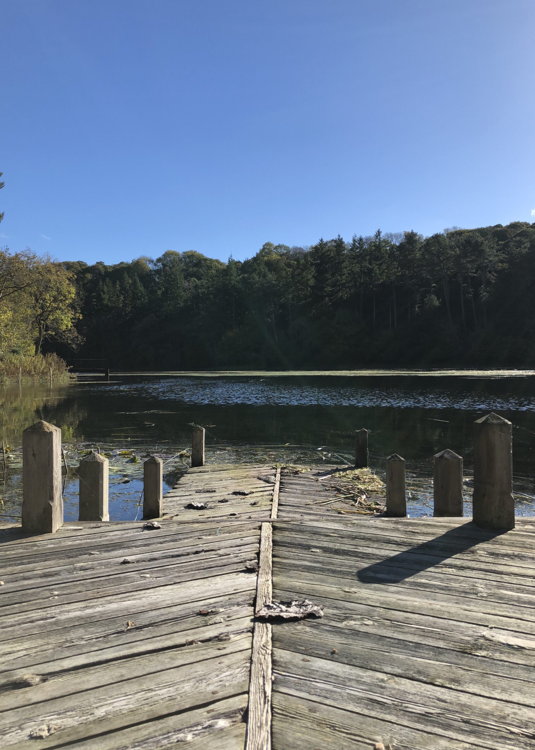 Lake Lodge | Cheshire Architects & Architectural Designers | Bespoke Kitchens | Interiors & Landscapes | Andy Vale | North West & Chester